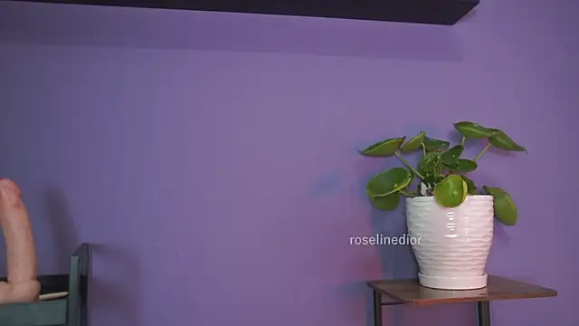 roselinedior online show from May 26, 2026, 1:29 pm