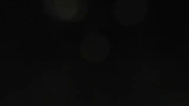 Bitch Coin online show from November 17, 2025, 10:43 am