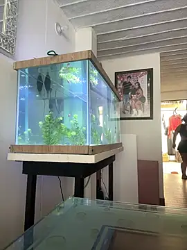 Snapshot of emmyjhonson07 chatting on March 30, 2026, 1:23 pm emmyjhonson07 online show from March 30, 2026, 1:23 pm