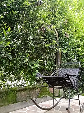 sebasxx97 online show from February 17, 2026, 3:19 pm