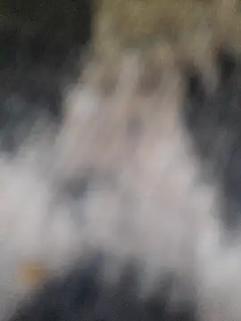 marcialoira online show from February 5, 2025, 10:12 pm