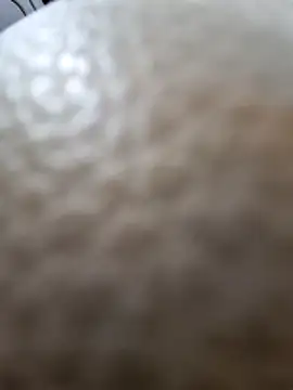 Kamarasa69 online show from December 18, 2025, 8:53 am