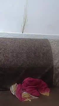 Snapshot of Aaradhya chatting on February 24, 2025, 3:33 am Aaradhya online show from February 24, 2025, 3:33 am