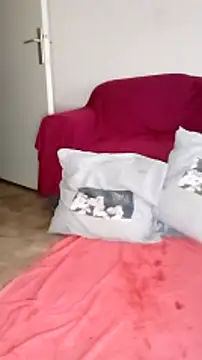 cricrimodele online show from December 15, 2024, 9:13 am