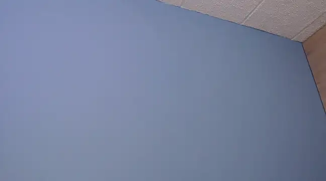 Lilly macflyy online show from December 18, 2024, 8:03 pm