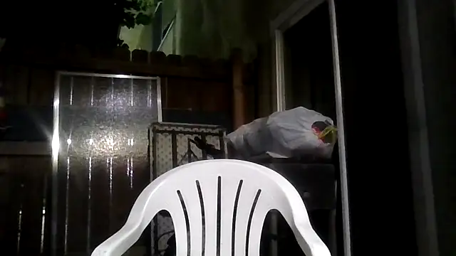 Snapshot of MrDickUdown24_7 chatting on February 9, 2026, 4:05 am MrDickUdown24 7 online show from February 9, 2026, 4:05 am