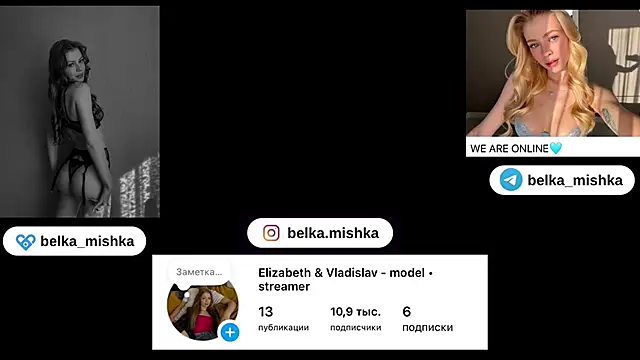 belka mishka1 online show from January 29, 2025, 11:20 am