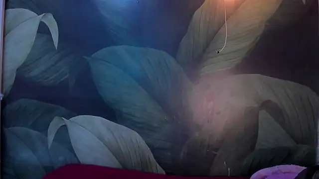 Snapshot of sweett_dirty chatting on January 11, 2025, 12:18 pm sweett dirty online show from January 11, 2025, 12:18 pm