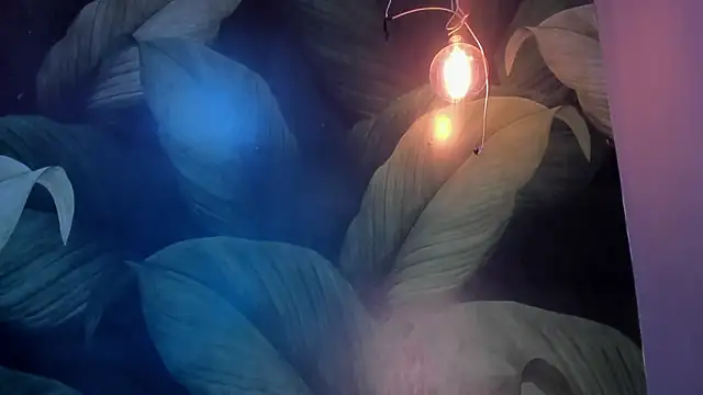 Snapshot of sweett_dirty chatting on January 15, 2025, 3:29 pm sweett dirty online show from January 15, 2025, 3:29 pm