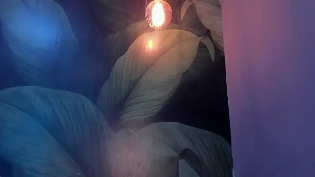 Snapshot of sweett_dirty chatting on January 27, 2025, 6:20 pm sweett dirty online show from January 27, 2025, 6:20 pm