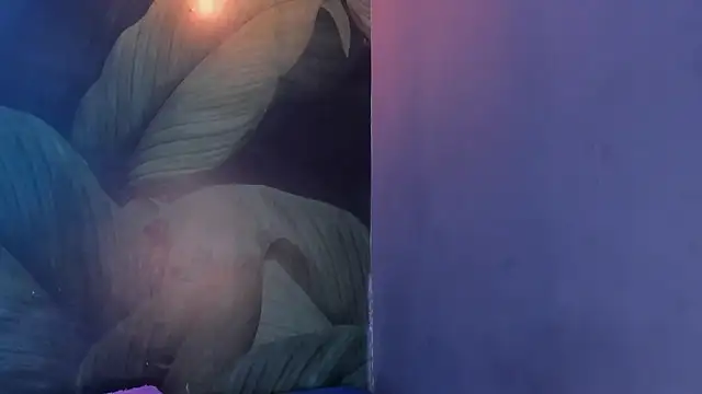 Snapshot of sweett_dirty chatting on February 1, 2025, 3:28 pm sweett dirty online show from February 1, 2025, 3:28 pm