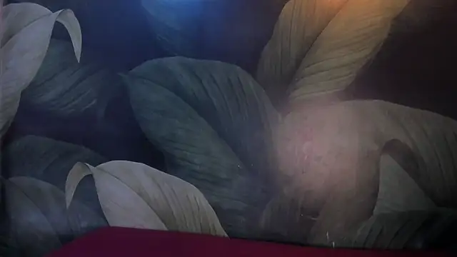 Snapshot of sweett_dirty chatting on February 8, 2025, 12:28 pm sweett dirty online show from February 8, 2025, 12:28 pm