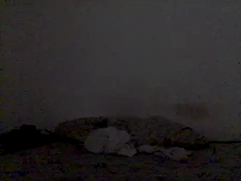 Snapshot of mariy_ chatting on March 3, 2025, 9:48 pm mariy online show from March 3, 2025, 9:48 pm