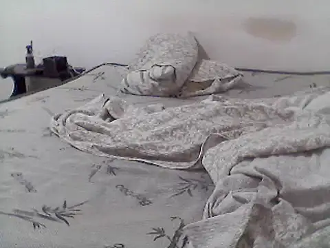 Snapshot of mariy_ chatting on March 11, 2025, 1:05 am mariy online show from March 11, 2025, 1:05 am