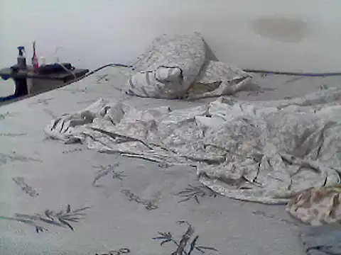 Snapshot of mariy_ chatting on March 11, 2025, 4:10 am mariy online show from March 11, 2025, 4:10 am