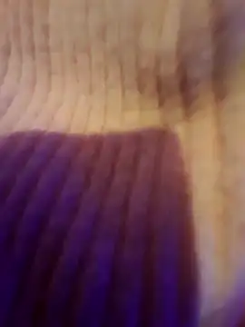 Snapshot of AsStraightAsARuler chatting on December 3, 2025, 5:04 am AsStraightAsARuler online show from December 3, 2025, 5:04 am