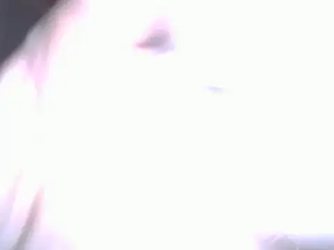 Snapshot of BobbyQ29 chatting on April 25, 2026, 12:24 am BobbyQ29 online show from April 25, 2026, 12:24 am