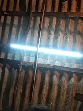 HotSexyBoudi online show from January 9, 2026, 9:45 am