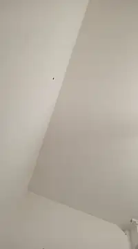 Anitabambola online show from March 5, 2025, 11:27 pm