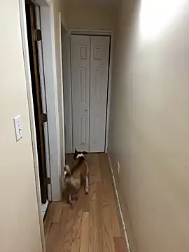 Snapshot of DaddySnowXX chatting on December 16, 2024, 11:33 am DaddySnowXX online show from December 16, 2024, 11:33 am