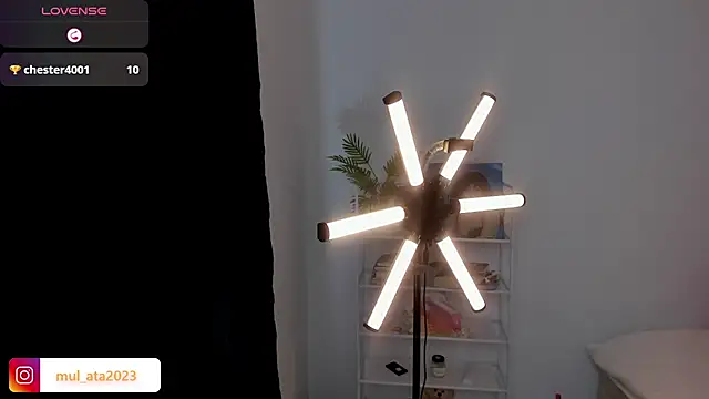 mulata 1ch online show from October 5, 2025, 12:42 am