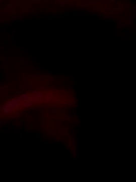 ySqmbVanbe online show from December 14, 2025, 9:36 am