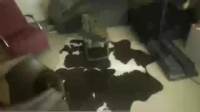 oopsxx online show from December 22, 2025, 1:57 am