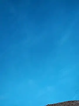 FloppyPickle4u online show from February 17, 2025, 1:15 am