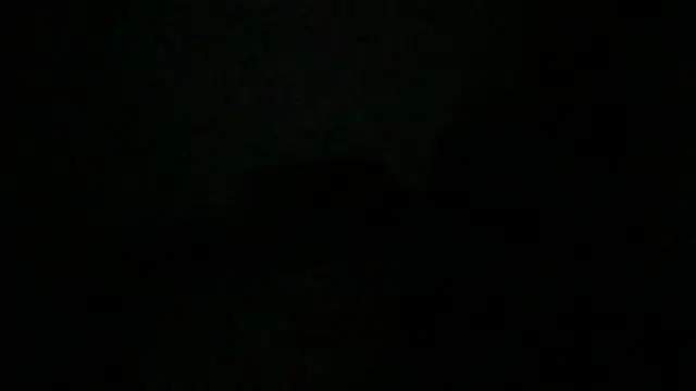 JunkieShitPig online show from November 19, 2025, 8:36 am