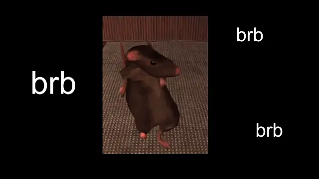 Sam Mystery online show from February 13, 2025, 11:06 am