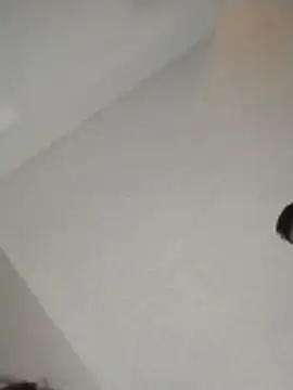 Snapshot of xWhoreAbleX_Pika chatting on November 30, 2025, 3:16 pm xWhoreAbleX Pika online show from November 30, 2025, 3:16 pm