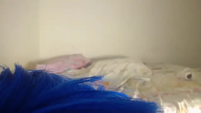 barbara anal squirt  online show from May 16, 2026, 12:29 am