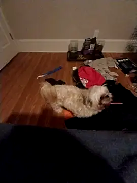 420getsmehorny online show from December 16, 2024, 2:04 am