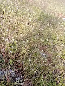 sexoooj online show from October 22, 2025, 10:37 am