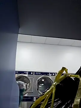 honeeyyy pot online show from December 8, 2024, 4:46 am