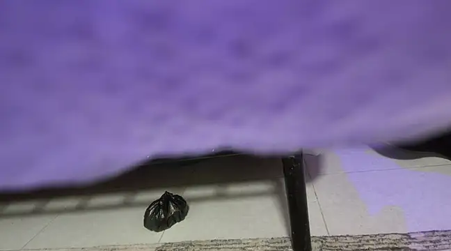 sweet-greedy online show from February 6, 2025, 5:19 pm