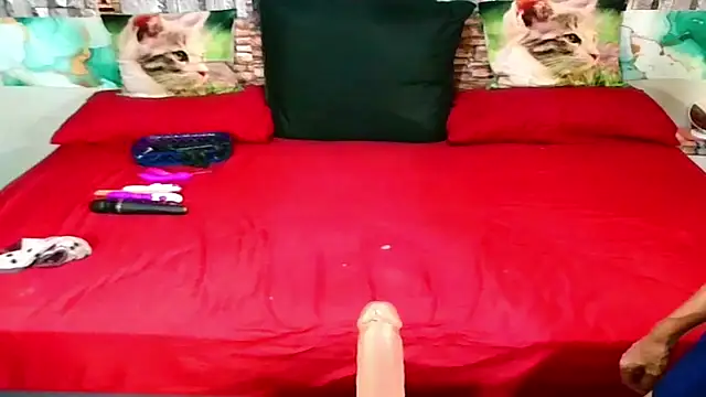 Snapshot of Indian_Blaze00 chatting on January 31, 2026, 7:11 pm Indian Blaze00 online show from January 31, 2026, 7:11 pm