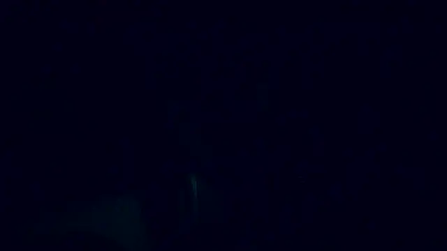 Snapshot of Lia_Y_PatrickX chatting on February 6, 2025, 12:16 pm Lia Y PatrickX online show from February 6, 2025, 12:16 pm