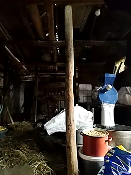 Snapshot of Sarpe84 chatting on January 24, 2025, 6:03 am Sarpe84 online show from January 24, 2025, 6:03 am