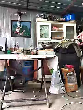 Snapshot of Sarpe84 chatting on January 24, 2025, 9:17 am Sarpe84 online show from January 24, 2025, 9:17 am