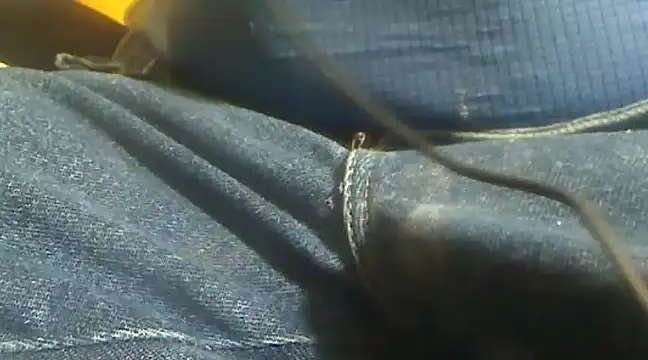 markluvskitty online show from February 10, 2025, 4:14 pm