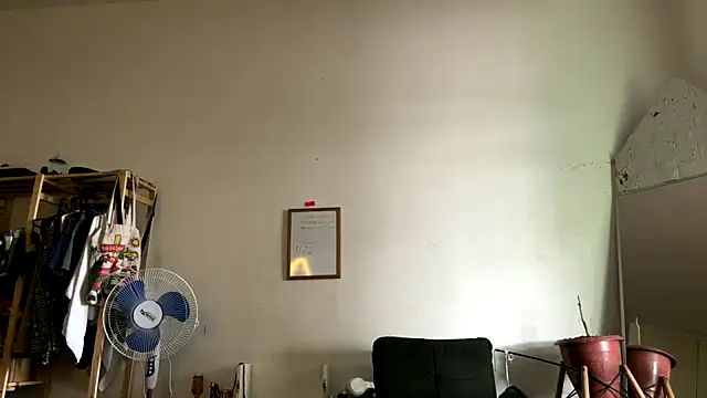 gerson173Hugo online show from February 25, 2026, 2:37 pm