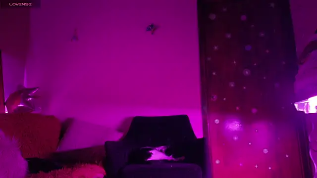 maryberry   online show from April 18, 2026, 4:38 am