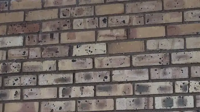 Astoria Moon online show from December 21, 2024, 2:15 pm