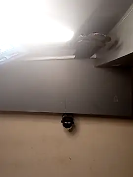 AmazonianMistress online show from December 1, 2025, 2:44 pm