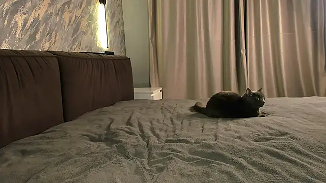 laflamebella online show from September 28, 2025, 5:07 pm