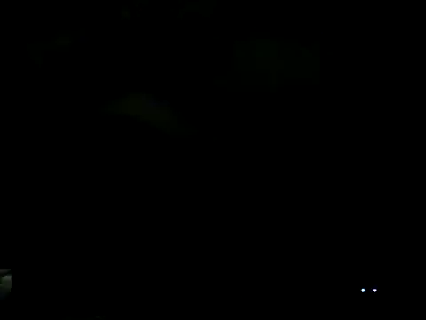 Everydayonli online show from February 6, 2025, 12:54 am