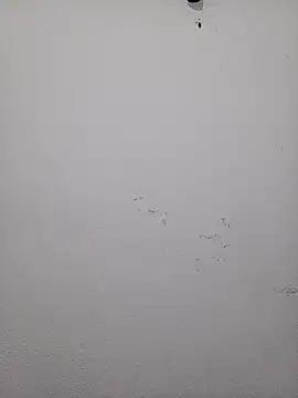 HombreS3n online show from February 19, 2025, 3:28 am