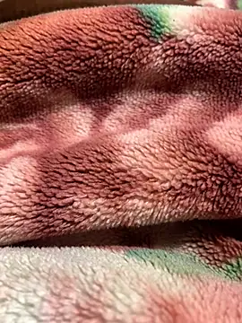 Snapshot of Gengista88 chatting on February 4, 2026, 1:44 am Gengista88 online show from February 4, 2026, 1:44 am