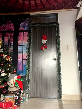  Artemisa X online show from December 4, 2024, 9:02 pm